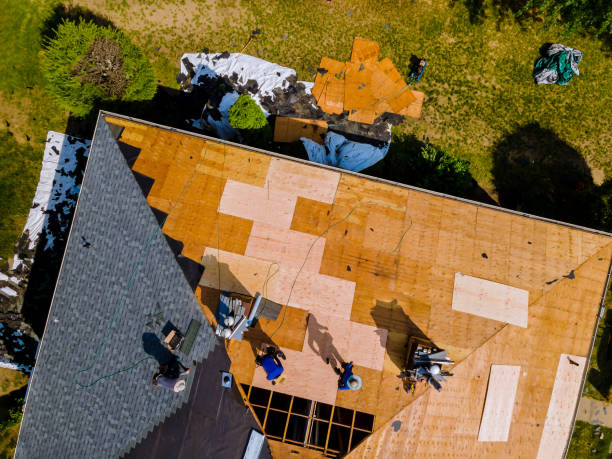 Quick and Trustworthy Emergency Roof Repair Services in Charleston, SC